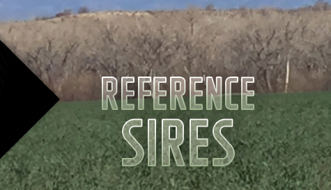 Reference Sires