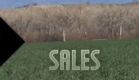 Sales