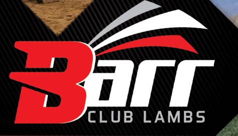 Barr Club Lambs