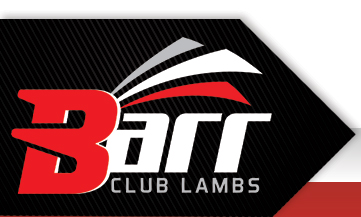 Barr Club Lambs